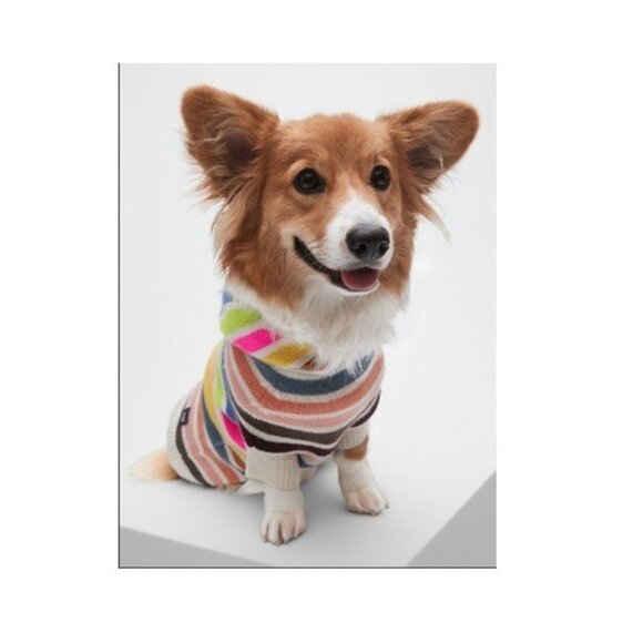 GAP Crazy Stripe Hoodie Knit Dog Sweater, Bright Multi-Color Stripes, XS/S - Picture 12 of 14
